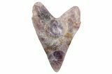 Carved Rainbow Fluorite Megalodon Tooth - Replica #262100-1